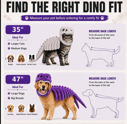 Pawzy Care Dino Skeleton Pet Costume