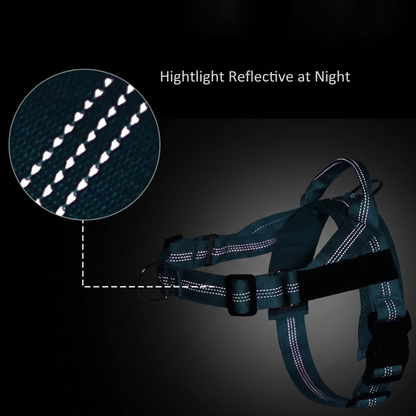 CalmWalk No-Pull Harness