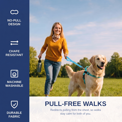 CalmWalk No-Pull Harness