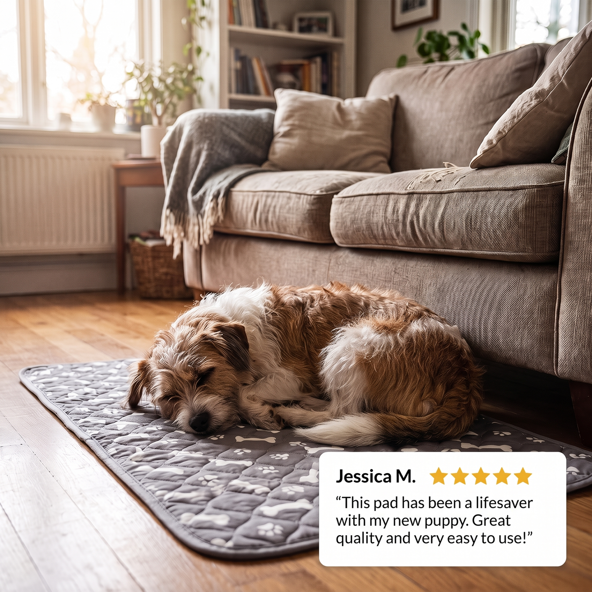 Pawzy Care Pads