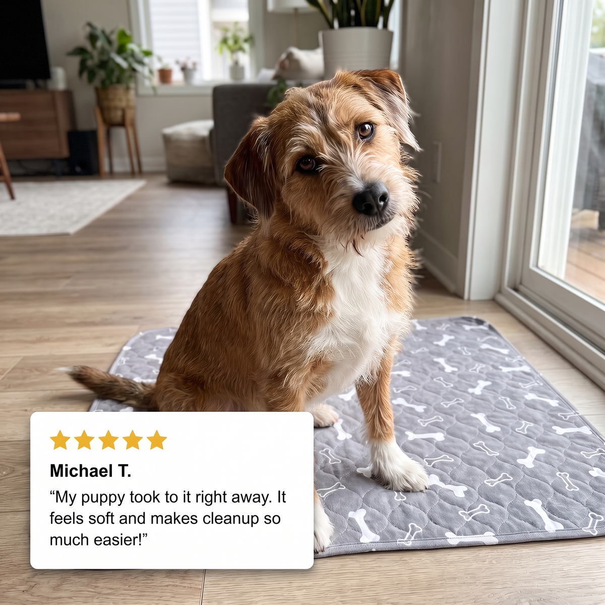 Pawzy Care Pads