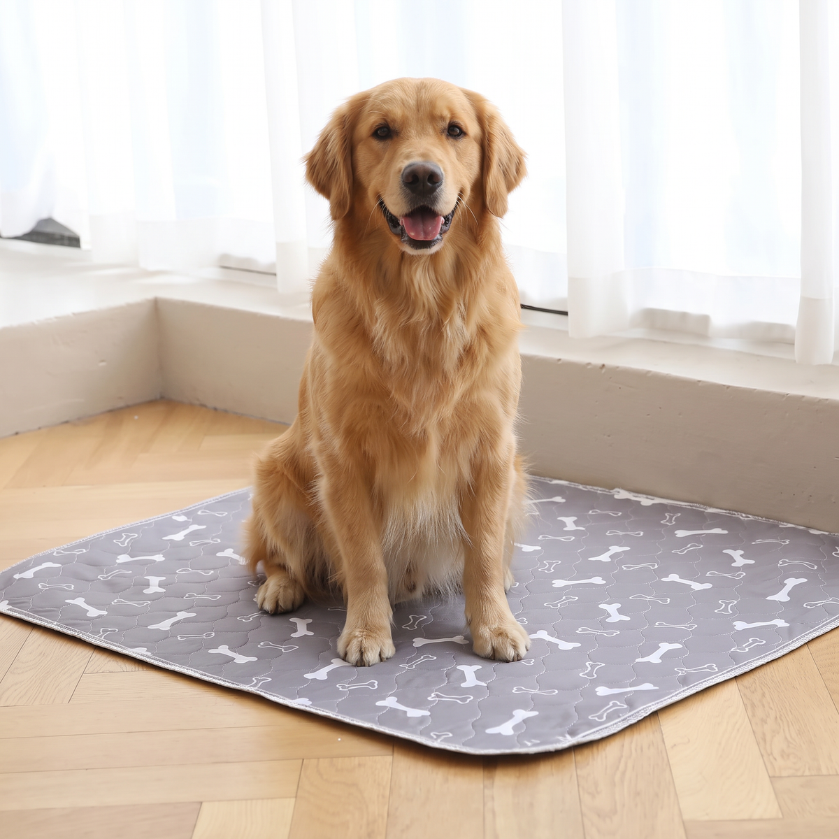 Pawzy Care Pads